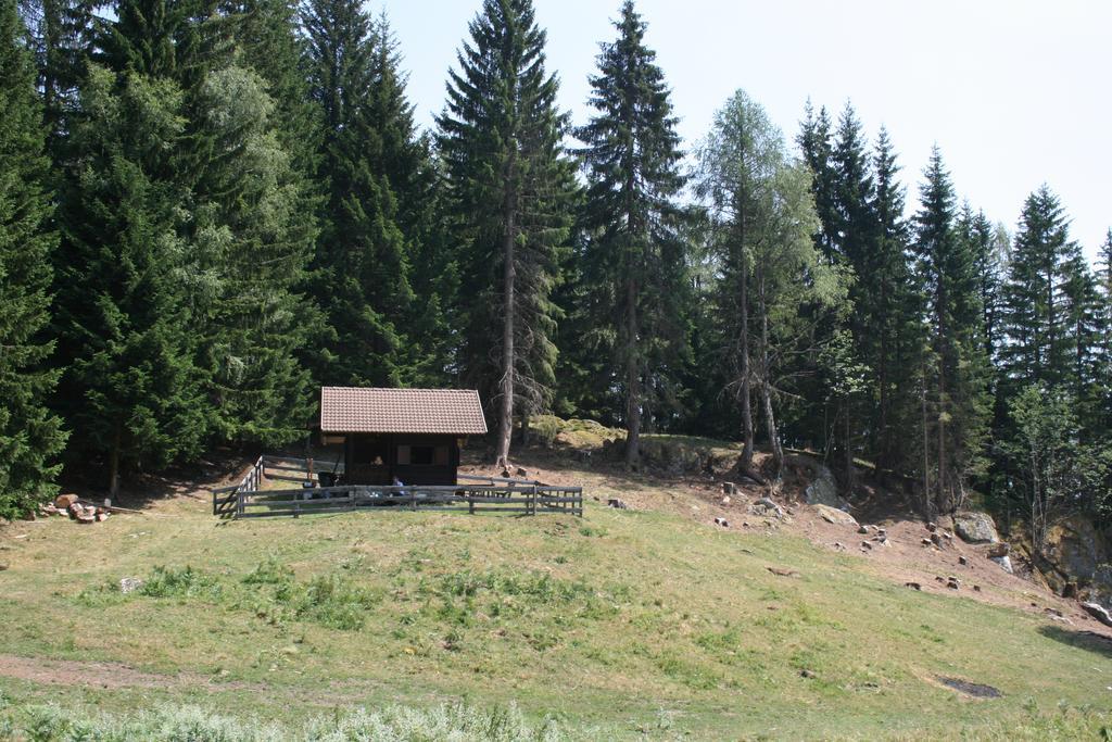 Gaestehaus Berger - Priglhof Трефен Екстериор снимка